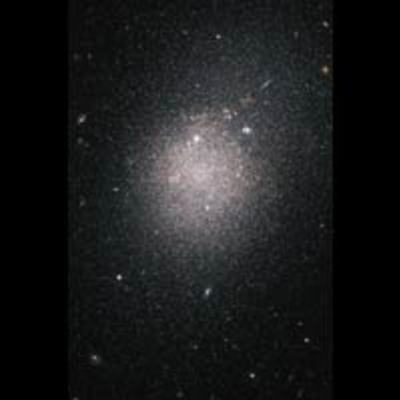 Hubble ACS Image of NGC 4163