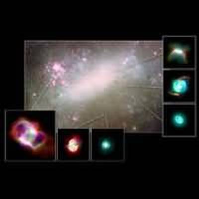 Hubble Surveys Dying Stars in Nearby Galaxy