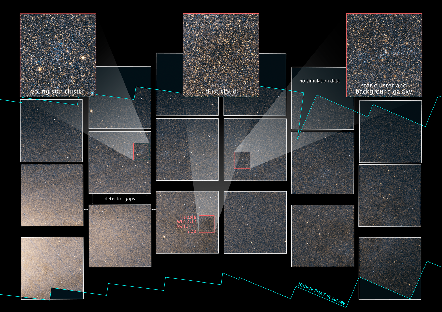Simulated WFIRST Observation of Andromeda Galaxy