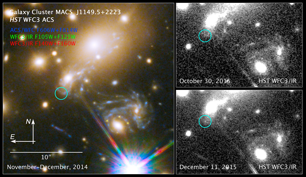 Supernova Refsdal and Galaxy Cluster MACS J1149.5+2223