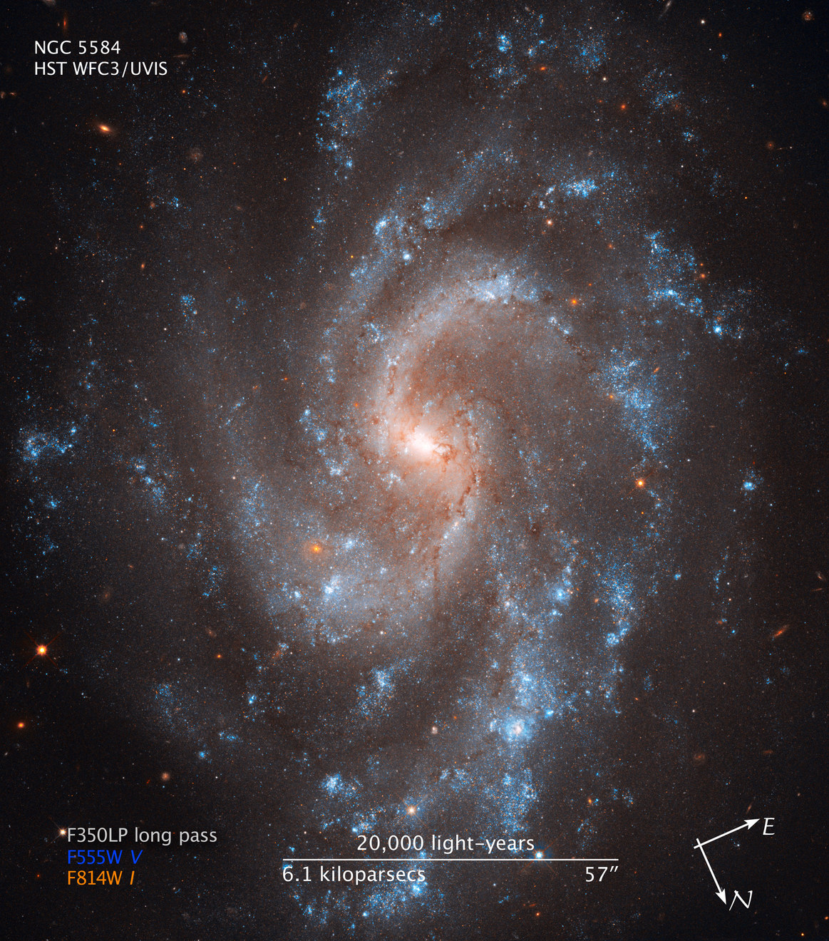 Hubble's View of NGC 5584