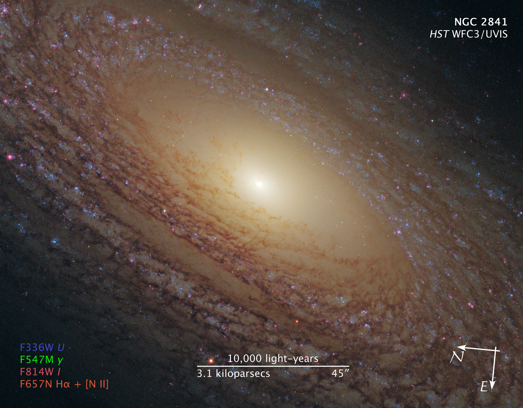 Compass and Scale Image for NGC 2841