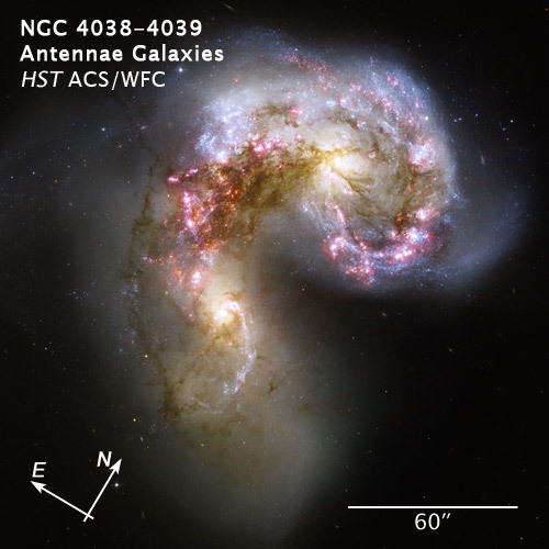 The Antennae Galaxies/NGC 4038-4039