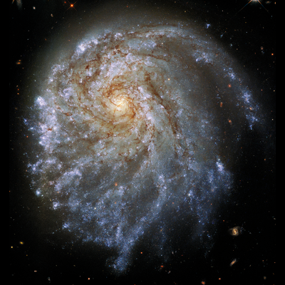 Lopsided Galaxy NGC 2276