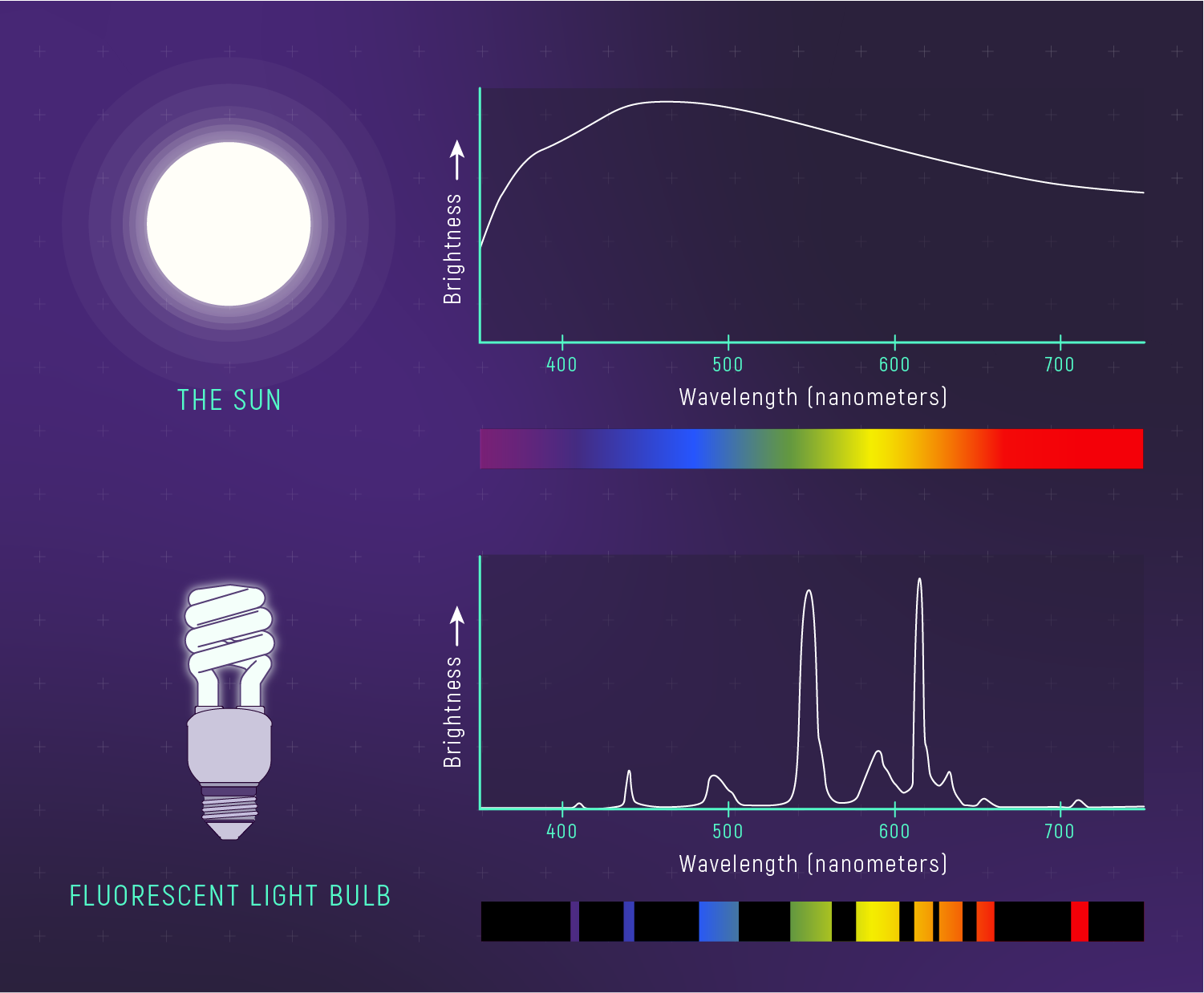 Incandescent Light Spectrum Vs Fluorescent