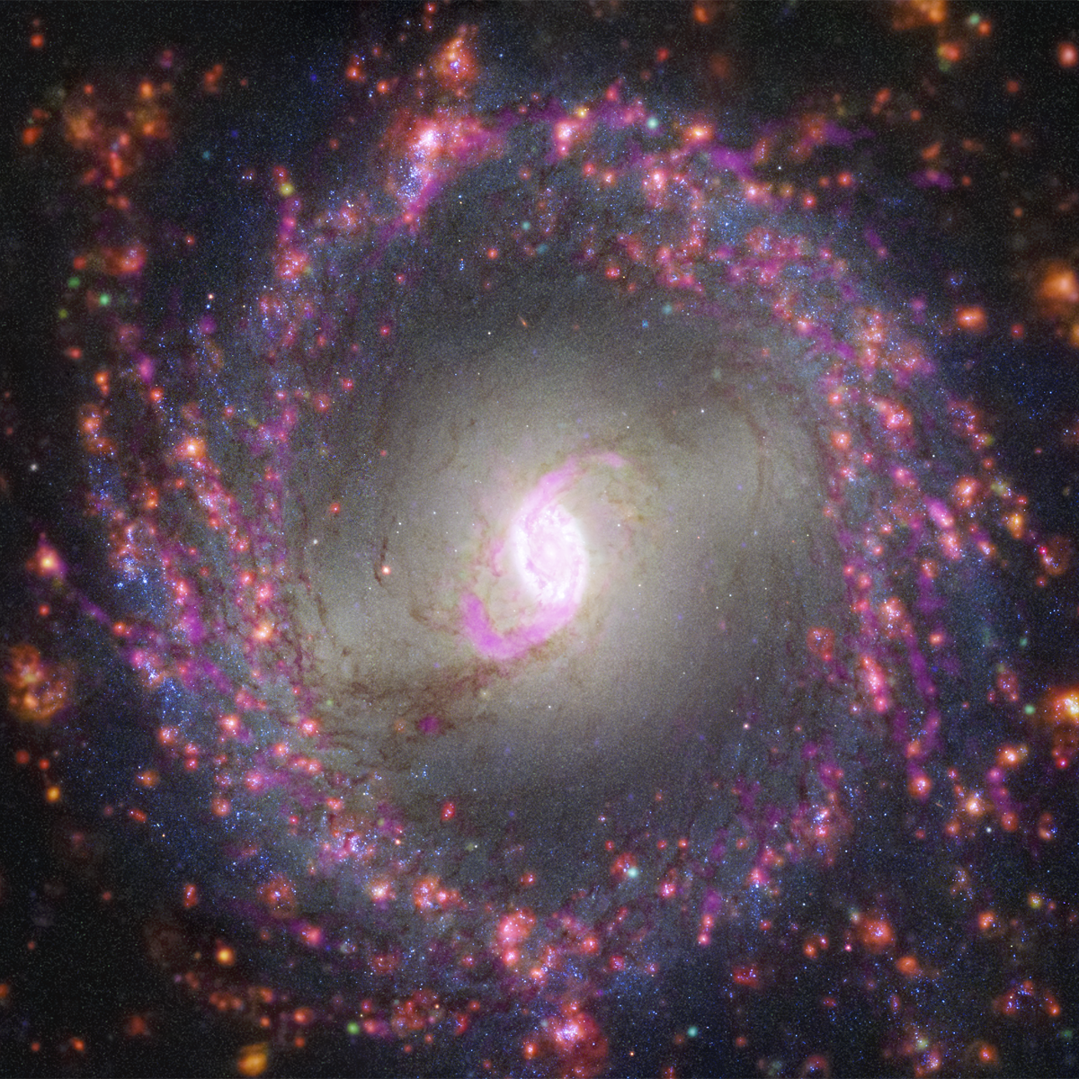 1 / 4 NGC MS66 DPL 2025 5P クイーンズパンサー M86-NGC 4438 complex | NOIRLab
