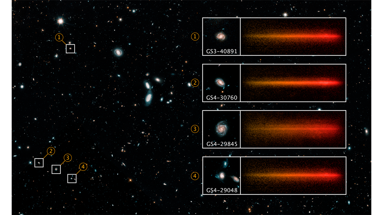 Spectra of Galaxies within the Hubble Ultra Deep Field | STScI