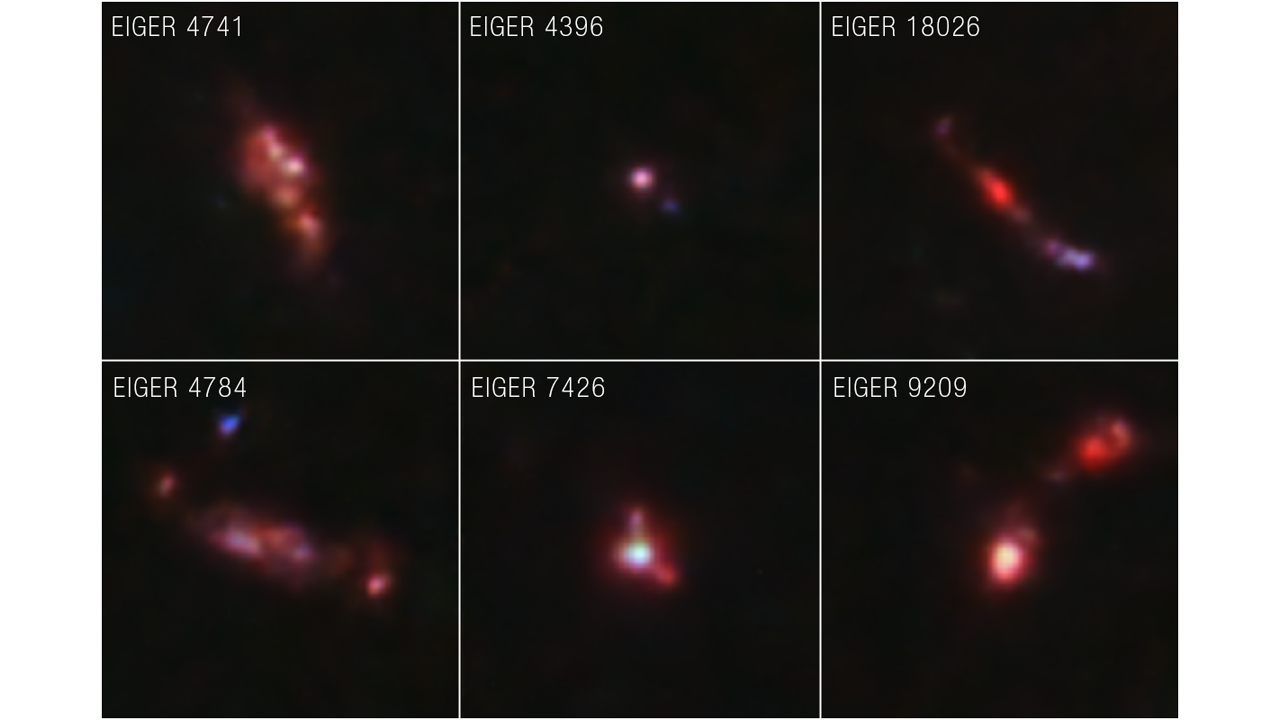  Distant Galaxy Samples Near Quasar J0100+2802 (NIRCam Image)