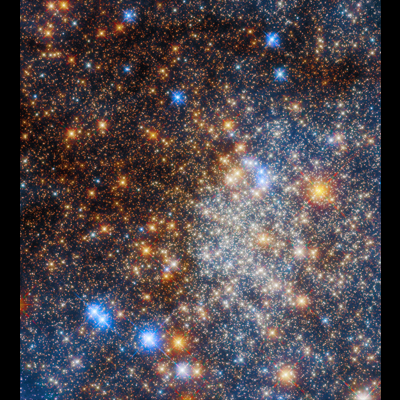 This image shows a compact beehive-like structure of hundreds of thousands of stars crowded together. Because of scattering by interstellar dust, the stars on the left side of the image appear redder. The stars toward the right side of the image are bluish-white. The image is sprinkled with bright blue foreground stars. There is also a smattering of bright red giant stars across the image.