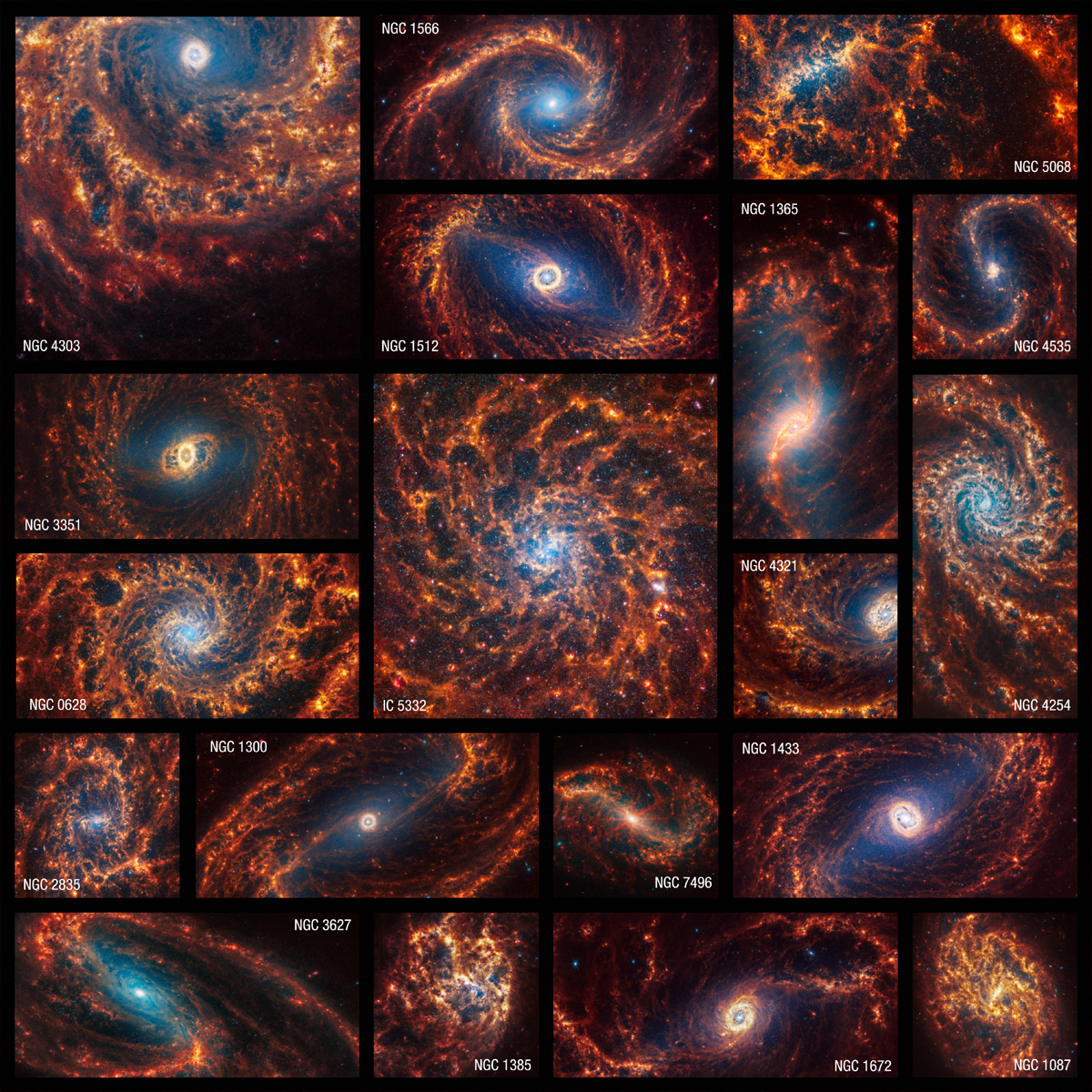 Webb's Stunning Collection of 19 Face-On Spiral Galaxies | Webb