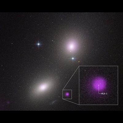 NASA's Hubble, Chandra Spot Rare Type of Black Hole Eating a Star